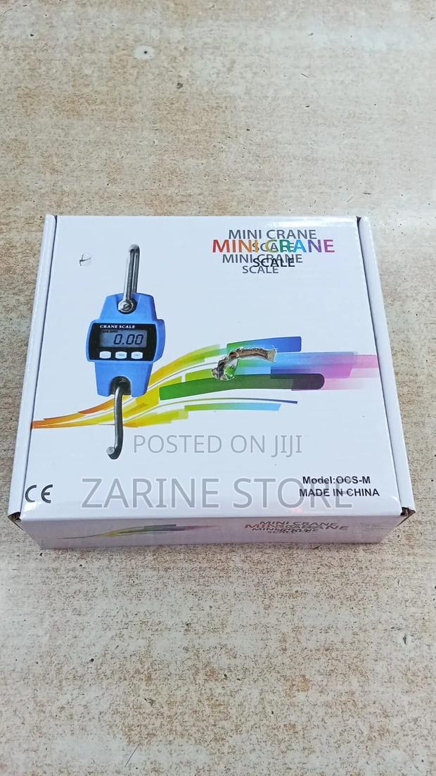300kgs Digital Mini Crane Scale