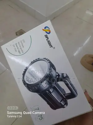 Security Torch