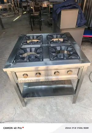 Stainless Steel 4 Gas Burner