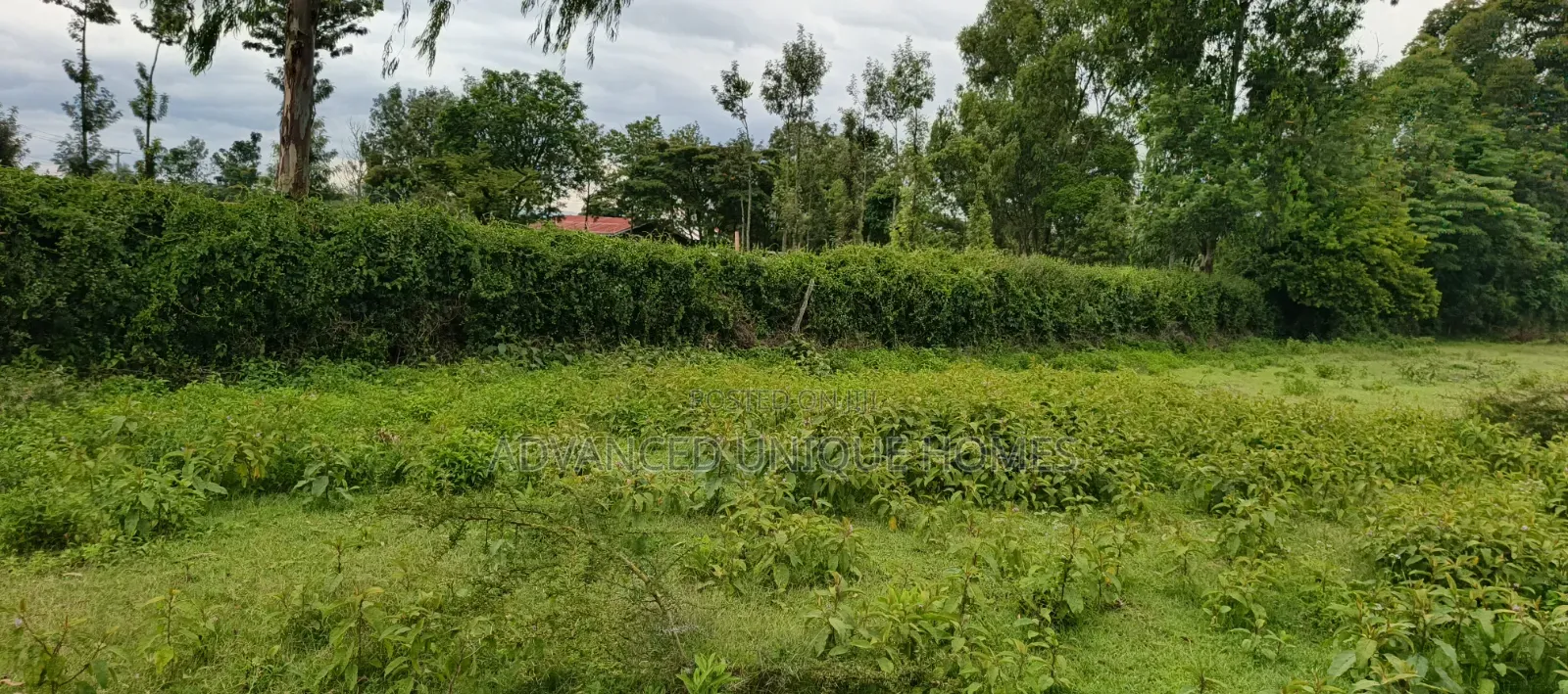 One Acre Land for Sale in Paniel Before Former Laikipia University