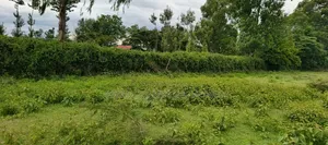 One Acre Land for Sale in Paniel Before Former Laikipia University