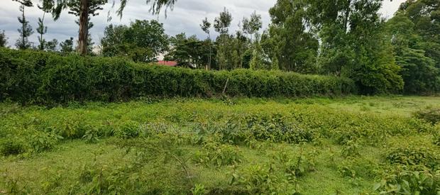 One Acre Land for Sale in Paniel Before Former Laikipia University - thumbnail 4