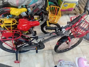 Skyfly Kids Bike Size 20