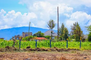 Plots In Joska C.N