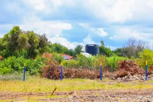 Plots In Joska C.N