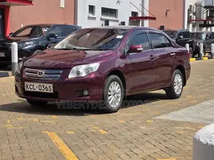 Toyota Axio 2010 Maroon