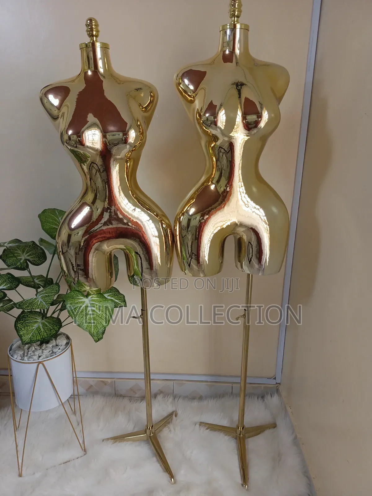 Premium Gold BBL Mannequins