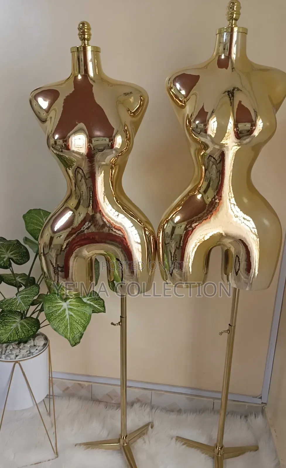 Premium Gold BBL Mannequins