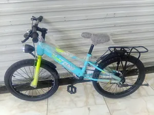 Kid's Bicycle Size 20 Strong Frame