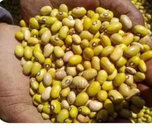 1kg Yellow Beans