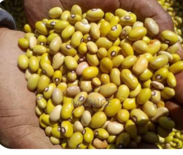 1kg Yellow Beans - thumbnail 2