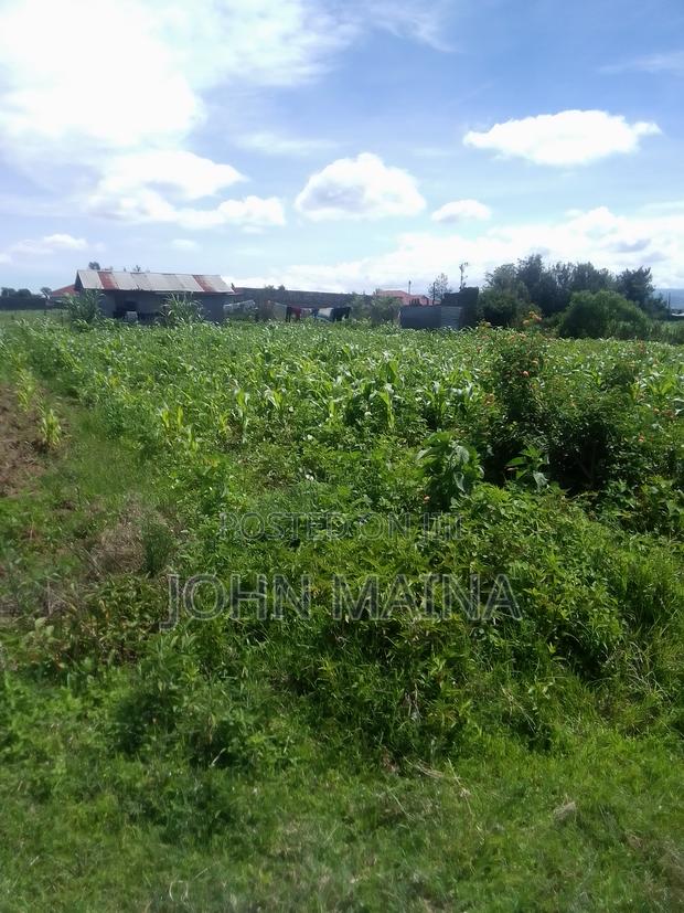 100x100 Plot for Sale in Nakuru
