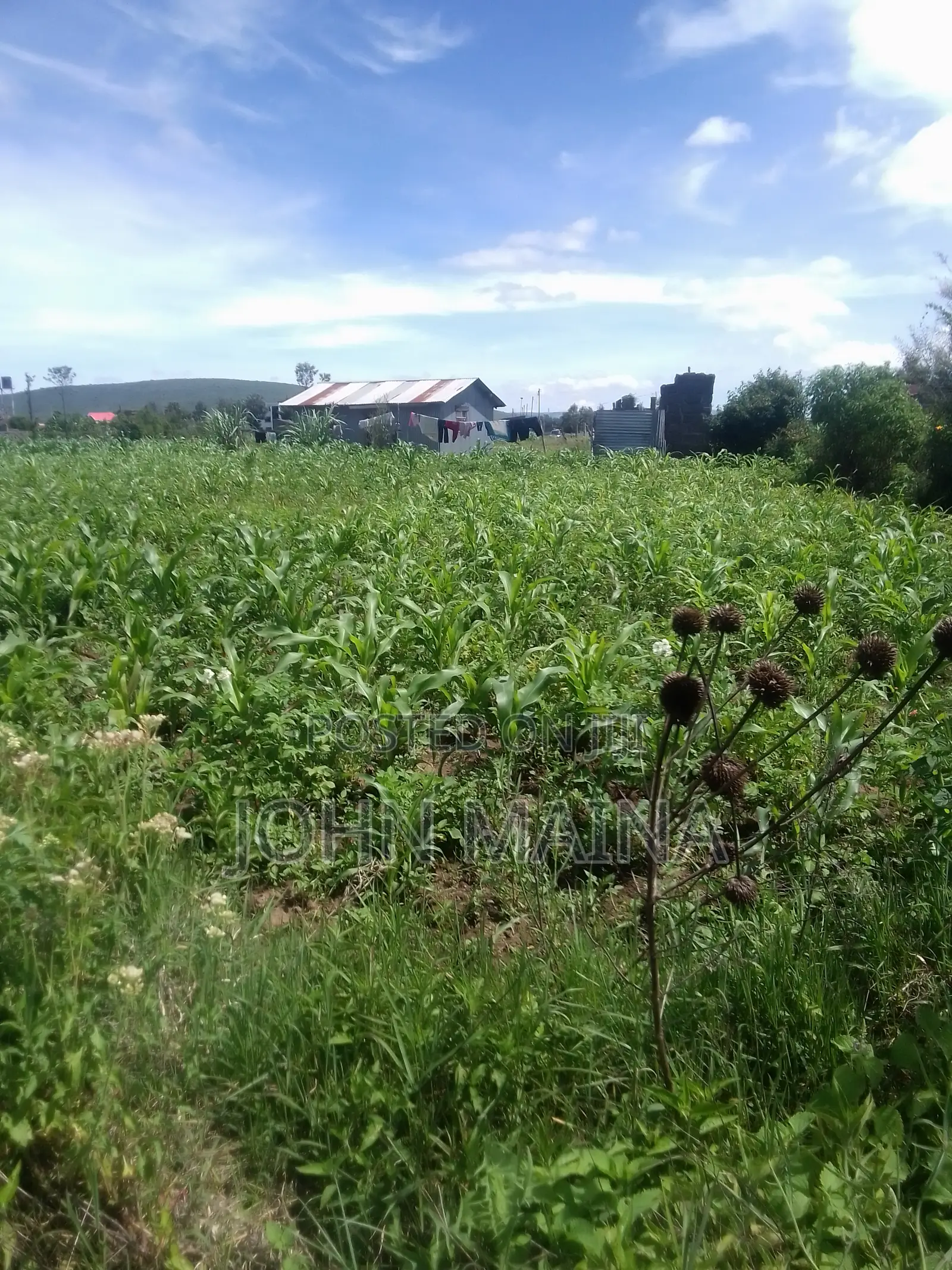 100x100 Plot for Sale in Nakuru