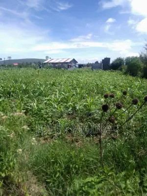 100x100 Plot for Sale in Nakuru