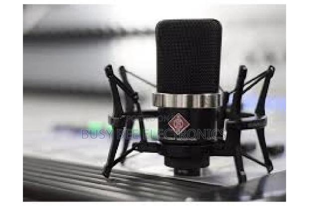 Neumann TLM 102 Mt Bk Studio Set Microphone - thumbnail 4