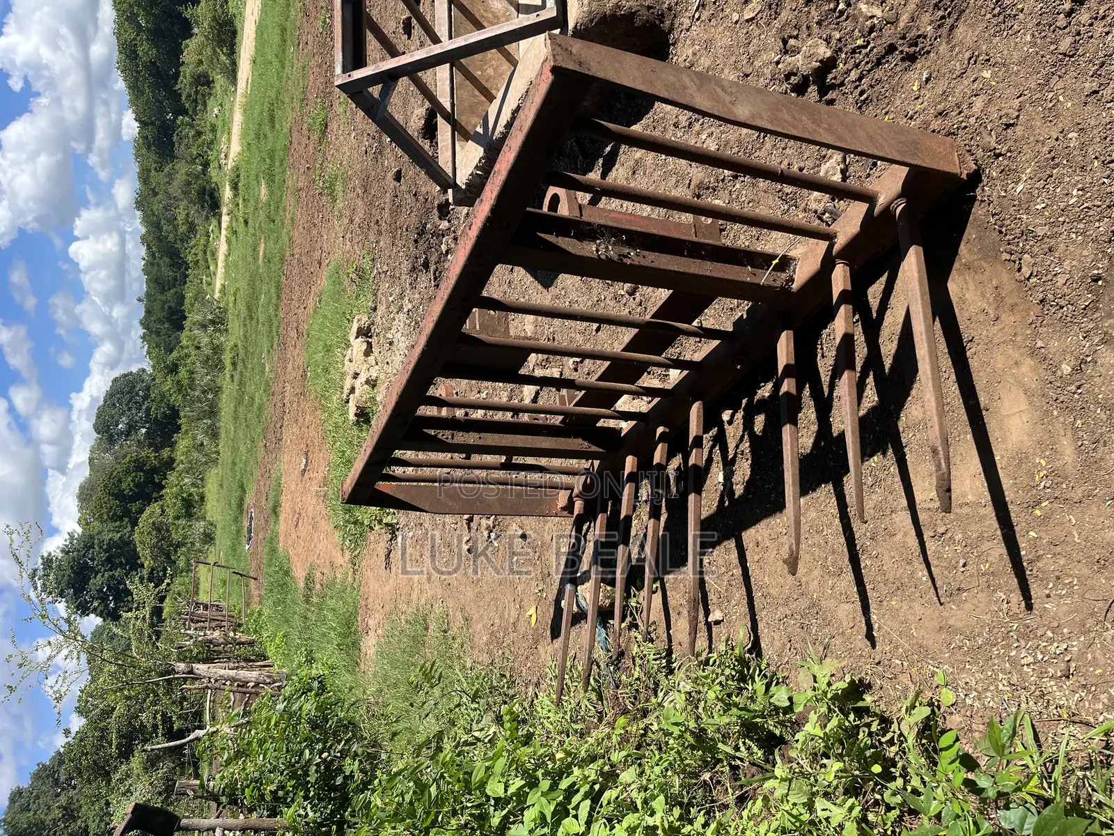 Silage Buck Rake