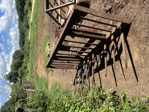 Silage Buck Rake
