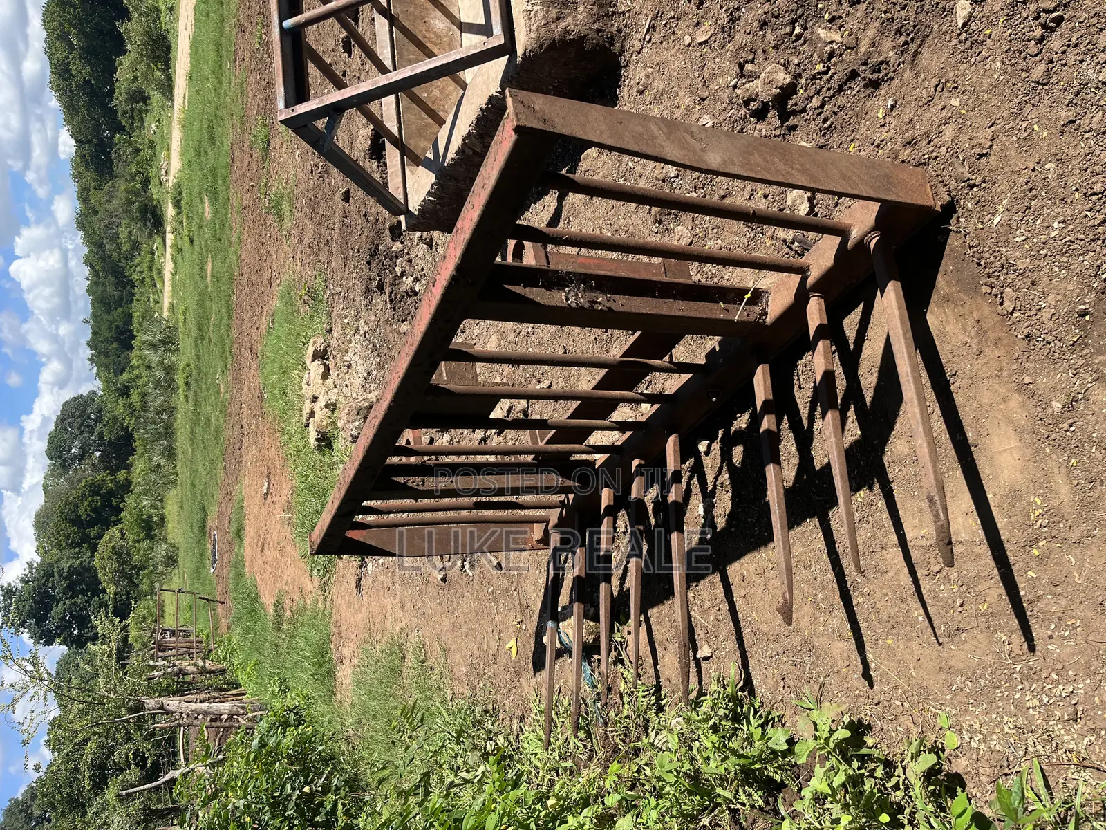 Silage Buck Rake