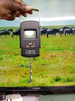 50 Kg Portable Electronic Scale/Max 50 Kg