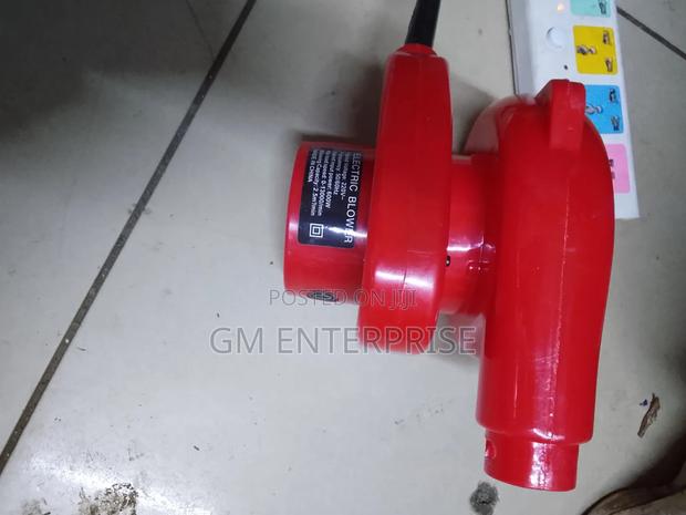 Professional Electric Blower