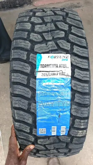 265/65r17 Fortune