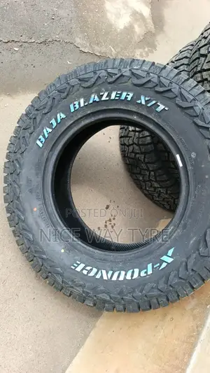 245/70r17 X Pounce