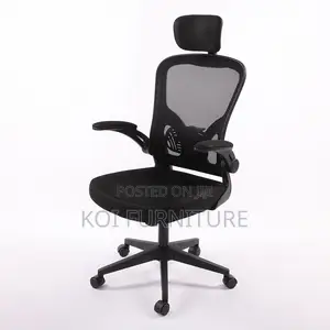 Office Chair : Grace18 Black Ergonomic Mesh High-Back Office Chair