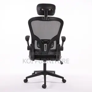 Office Chair : Grace18 Black Ergonomic Mesh High-Back Office Chair