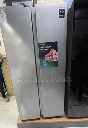 Hisense Rc-56ws4sa Side by Side Fridge 441l - Silver