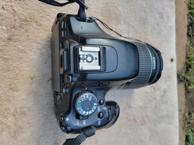 Canon D600 - thumbnail 2