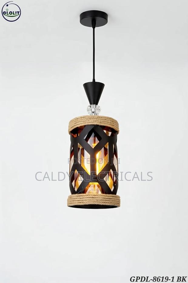 Modern Elegant Hanging Pedants - main view