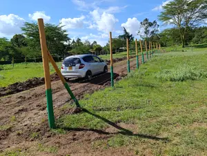 Plots In Kikuyu