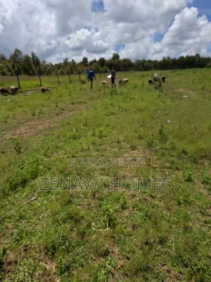 View Your Plot This Rainy Season.Jr