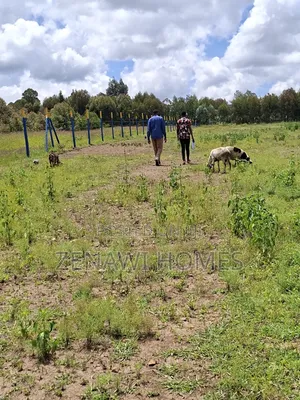 View Your Plot This Rainy Season.Jr