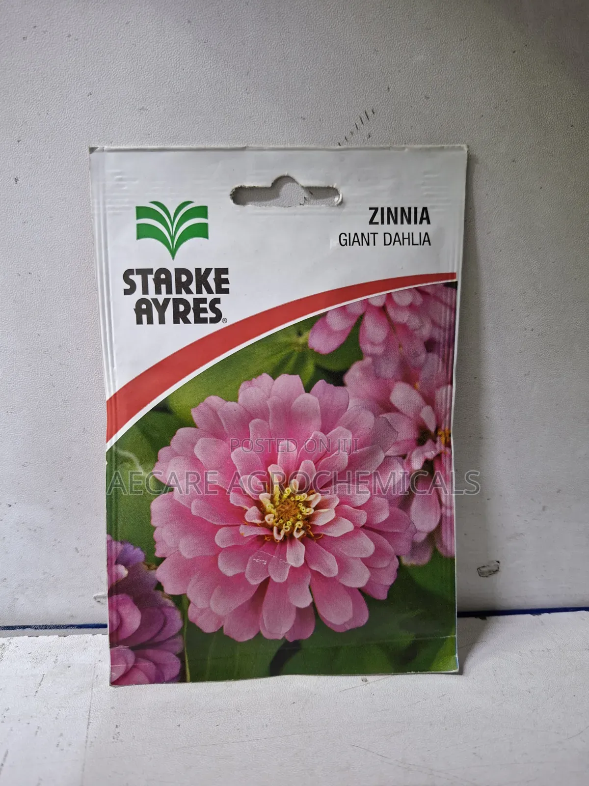 Zinnia Gaint Dahlia Flower Seeds Starke Aryes 2 Gram