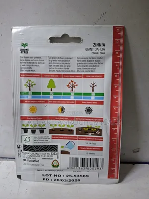 Zinnia Gaint Dahlia Flower Seeds Starke Aryes 2 Gram