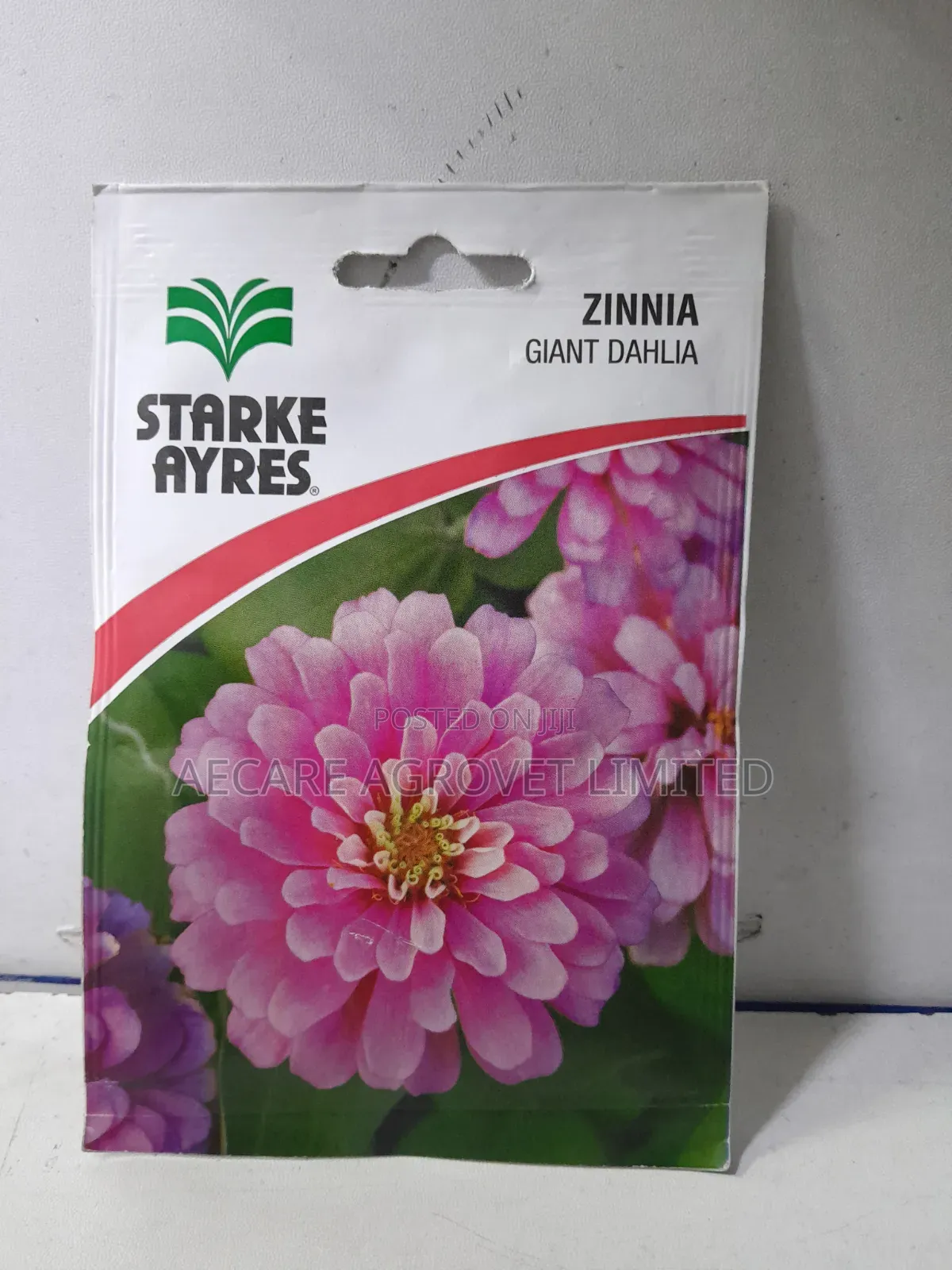 Zinnia Giant Dahlia 2grams Flower Seeds