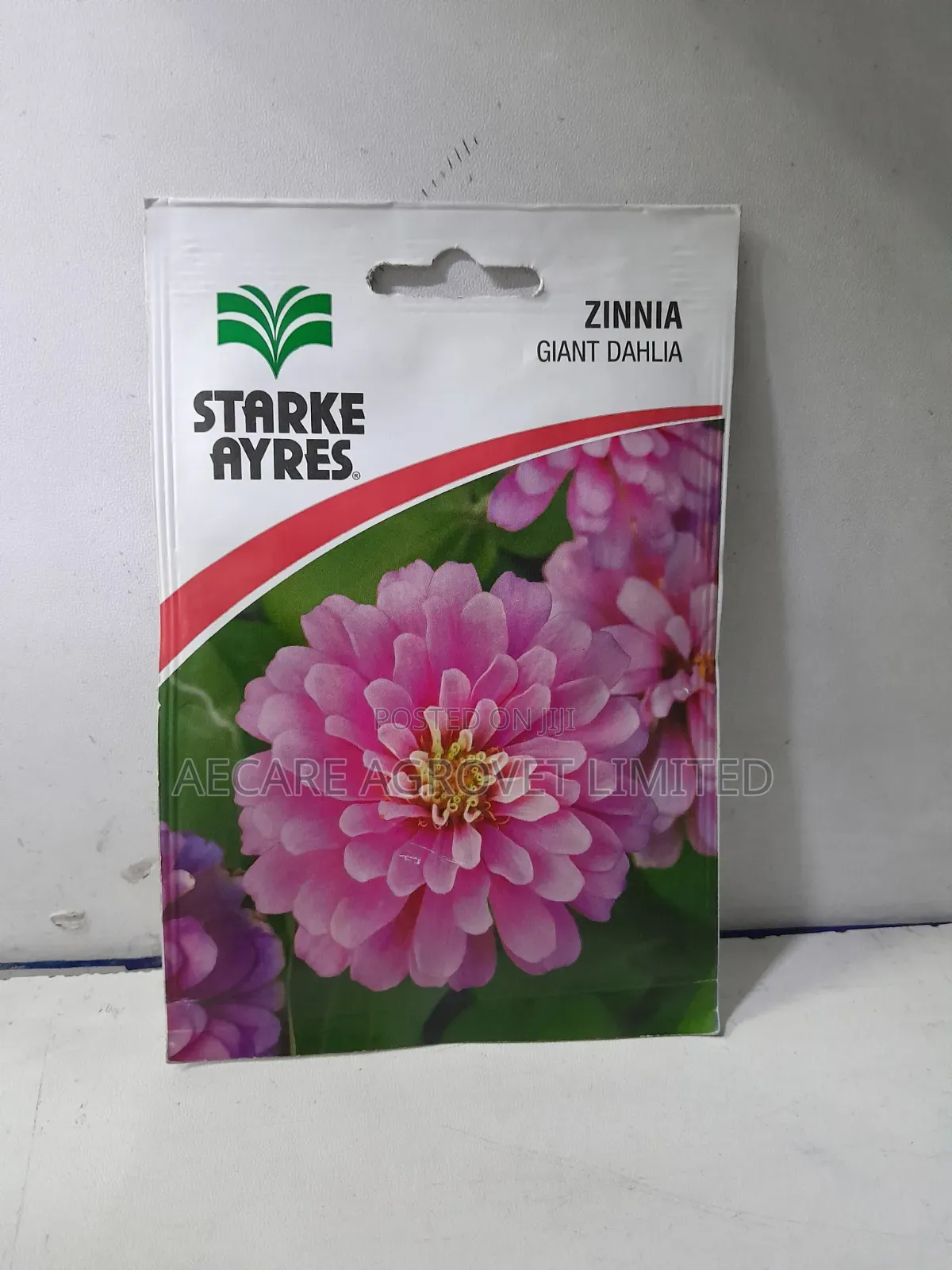 Zinnia Giant Dahlia 2grams Flower Seeds