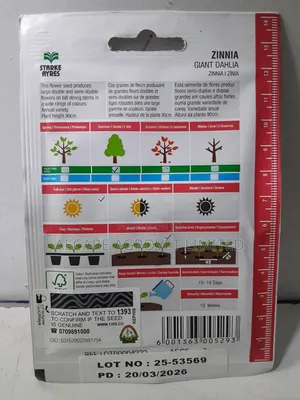Zinnia Giant Dahlia 2grams Flower Seeds