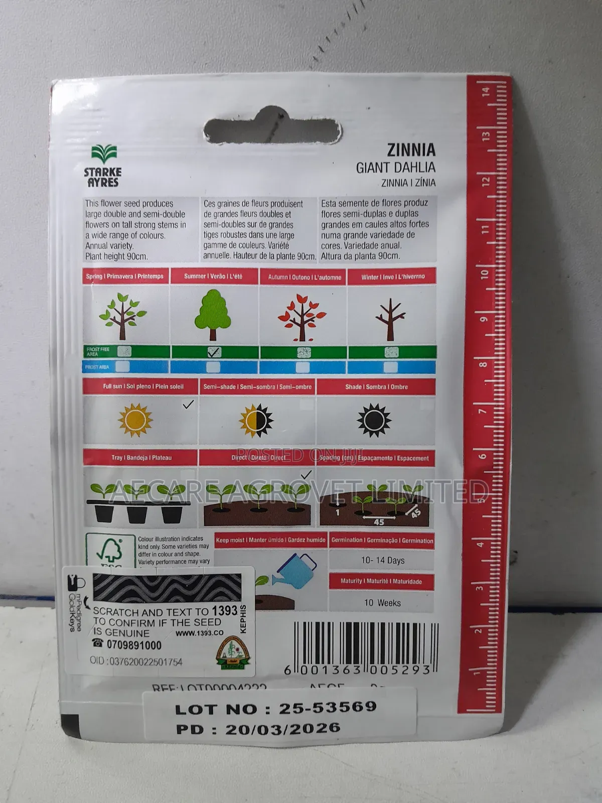 Zinnia Giant Dahlia 2grams Flower Seeds