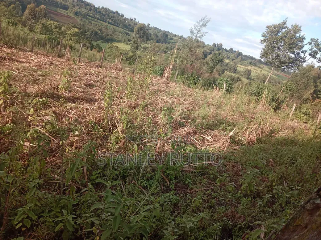 1\2 an Acre Land Located in Kapkoimur
