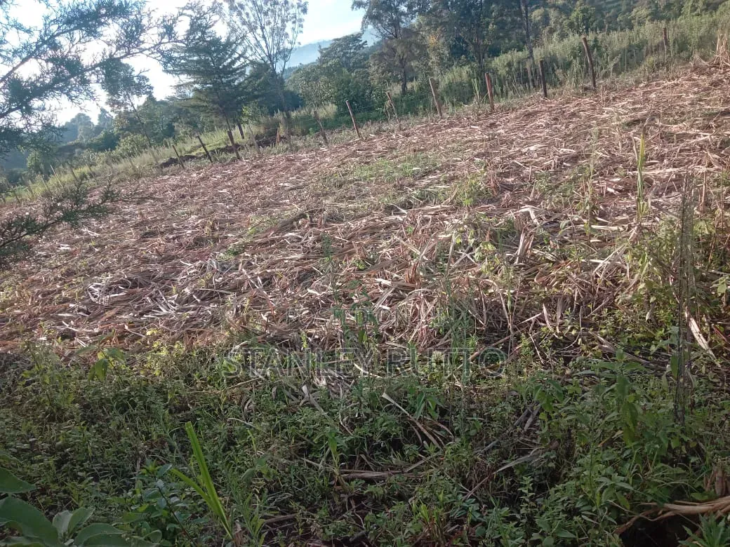 1\2 an Acre Land Located in Kapkoimur