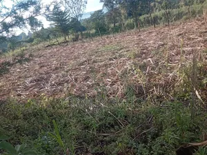 1\2 an Acre Land Located in Kapkoimur