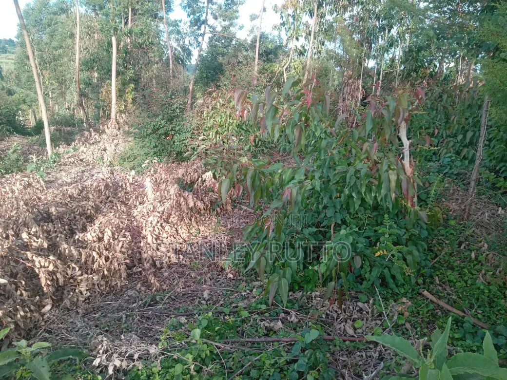 1\2 an Acre Land Located in Kapkoimur