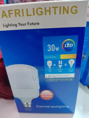 30w Afrilighting Light Bulb