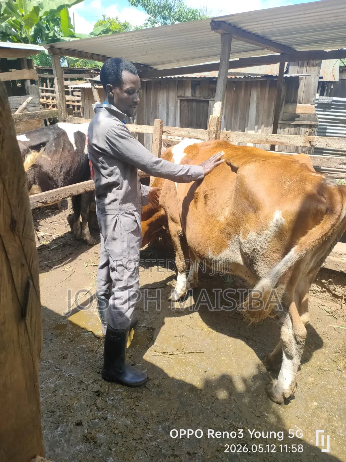 Livestock Farming