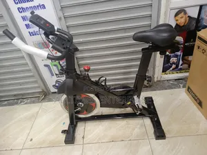 Euromax Home Fitness Spin Bike