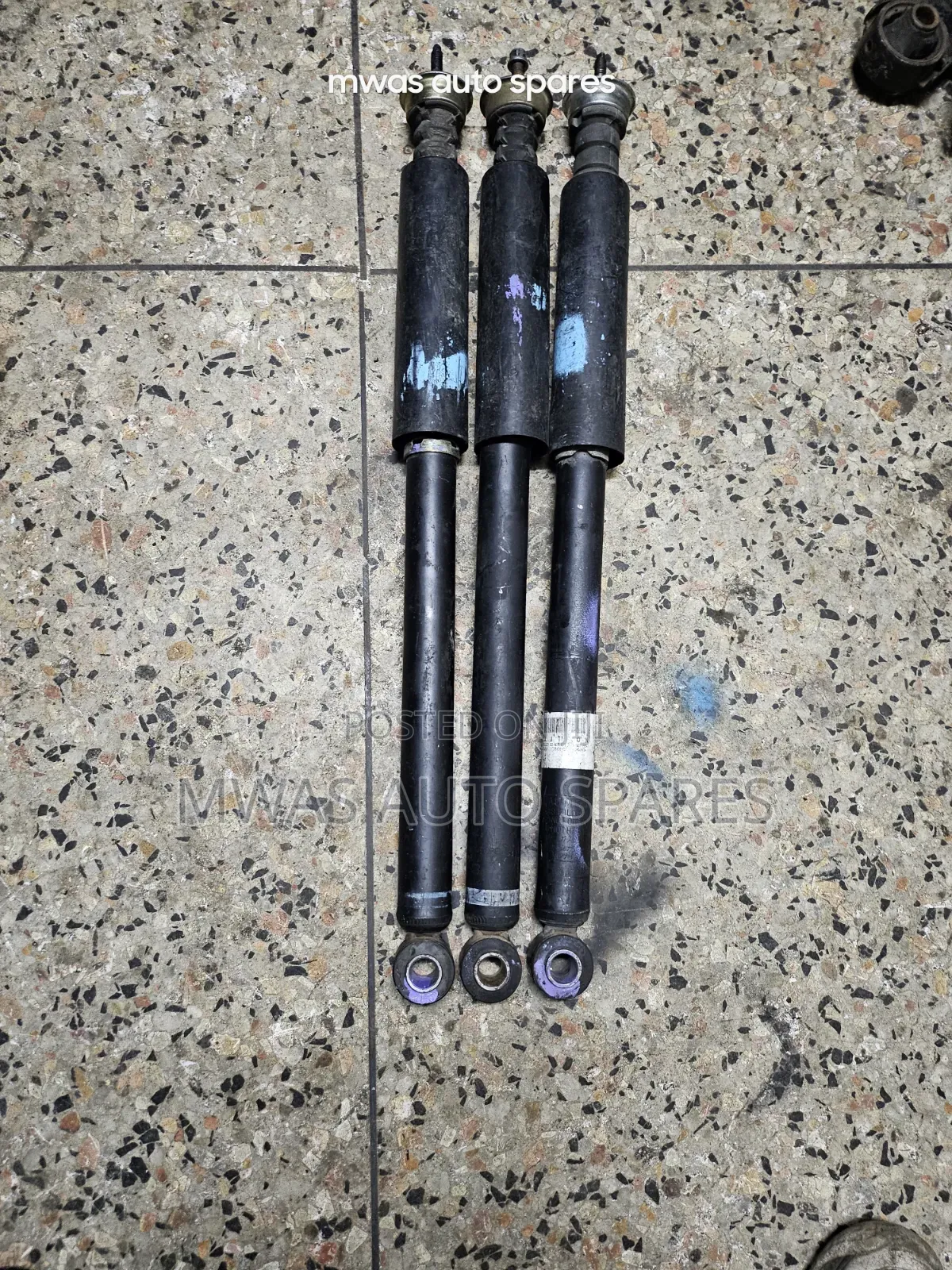 Toyota Platz/ Vitz Old Model Rear Shocks