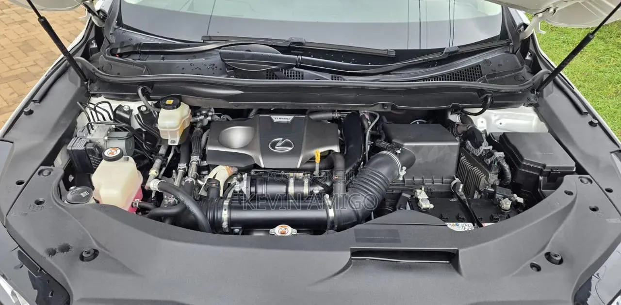 Lexus RX 2020 White