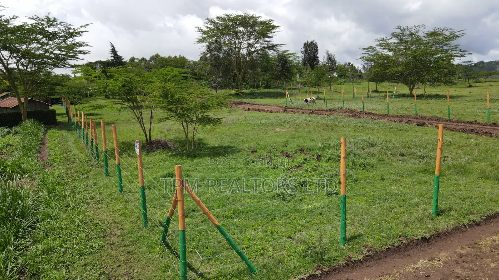 Plots In Kikuyu